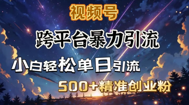 跨平台暴力引流，私域完美闭环，日引500+精准创业粉-梦清网创