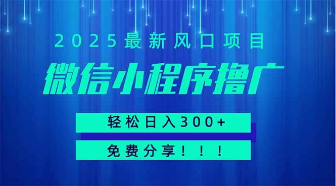 微信小程序撸广，最新风口项目，日入300+ 免费分享 可批量操作 小白可…-梦清网创