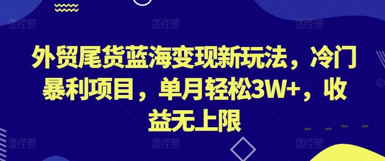 外贸尾货蓝海变现新玩法，冷门暴利项目，单月轻松3W+，收益无上限【揭秘】-梦清网创