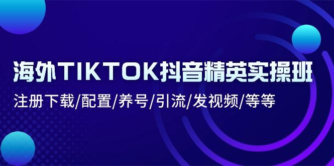 海外TIKTOK抖音精英实操班：注册下载/配置/养号/引流/发视频/等等-梦清网创