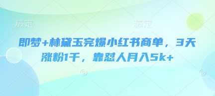 即梦+林黛玉完爆小红书商单，3天涨粉1千，靠怼人月入5k+-梦清网创