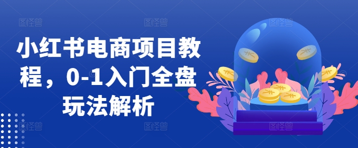 小红书电商项目教程，0-1入门全盘玩法解析-梦清网创