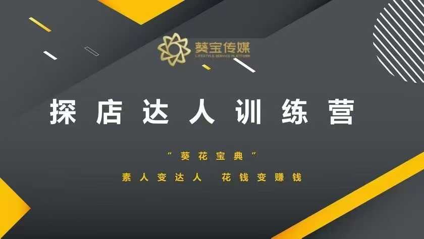 探店达人训练营，素人变达人，花钱变赚钱-梦清网创