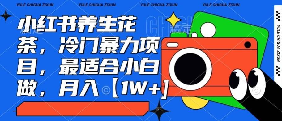 小红书养生花茶，冷门暴力项目，最适合小白做，月入【1W+】-梦清网创