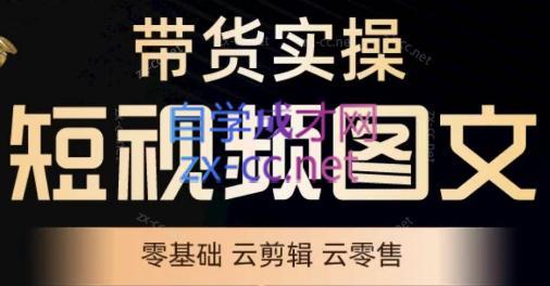 鑫哥·2024零基础短视频带货实操营-梦清网创
