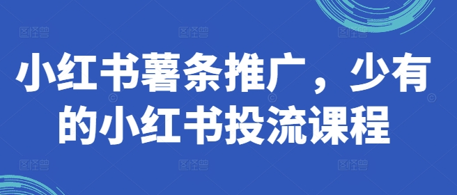 小红书薯条推广，少有的小红书投流课程-梦清网创