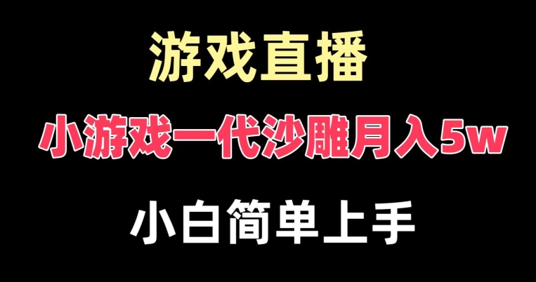 玩小游戏一代沙雕月入5w，爆裂变现，快速拿结果，高级保姆式教学【揭秘】-梦清网创