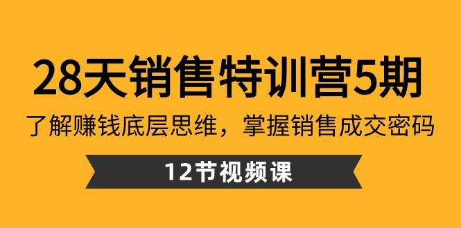28天销售特训营5期：了解赚钱底层思维，掌握销售成交密码（12节课）-梦清网创