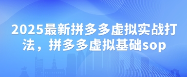 2025最新拼多多虚拟实战打法，拼多多虚拟基础sop-梦清网创