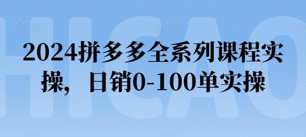 2024拼多多全系列课程实操，日销0-100单实操【必看】-梦清网创