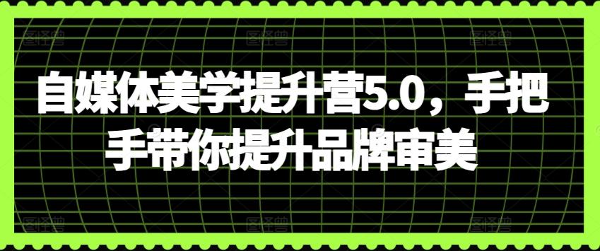 自媒体美学提升营5.0，手把手带你提升品牌审美-梦清网创