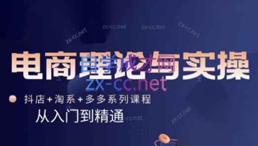 磊子·电商理论与实操(抖店+淘系+拼多多)-梦清网创