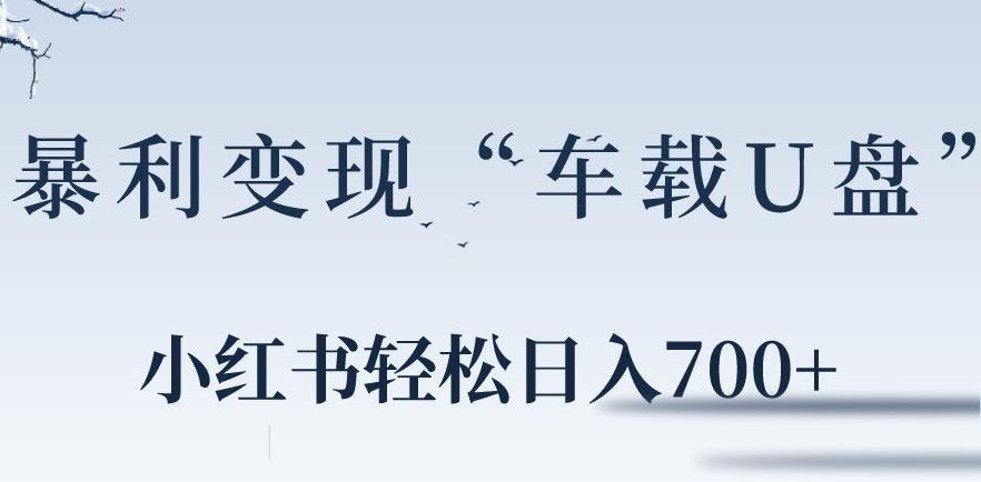 小红书“车载U盘”暴利引流，日入700+-梦清网创
