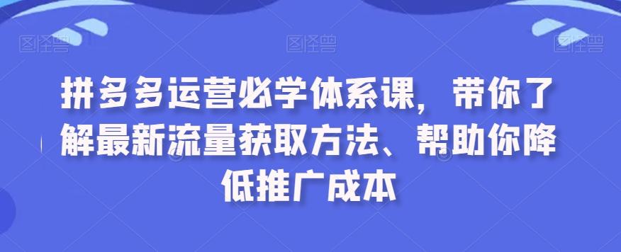 拼多多运营必学体系课，带你了解最新流量获取方法、帮助你降低推广成本-梦清网创