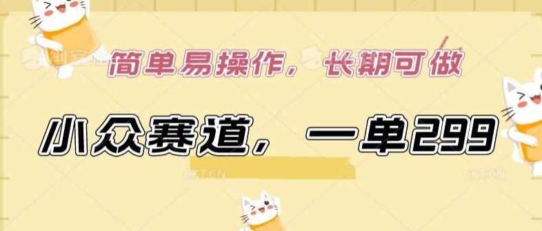 小众赛道，一单299.简单易操作，长期可做【揭秘】-梦清网创