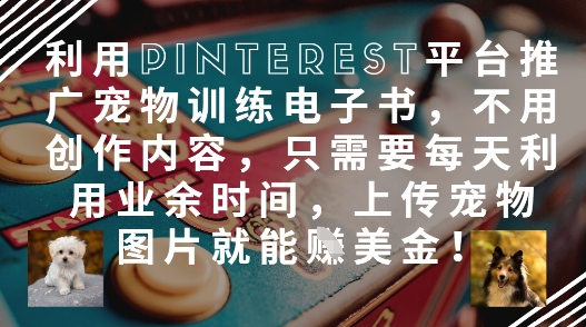 利用Pinterest平台推广宠物训练电子书，不用创作内容，只需要每天利用业余时间，上传宠物图片就能挣美金!-梦清网创
