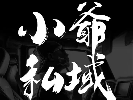 小爷·私域项目操盘手-梦清网创