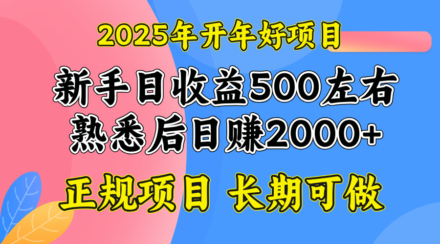 2025开年好项目，单号日收益2000左右-梦清网创