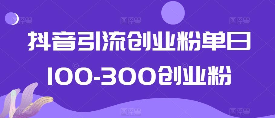 抖音引流创业粉单日100-300创业粉【揭秘】-梦清网创