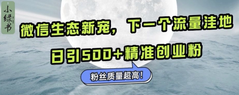 微信生态新宠小绿书：下一个流量洼地，日引500+精准创业粉，粉丝质量超高-梦清网创