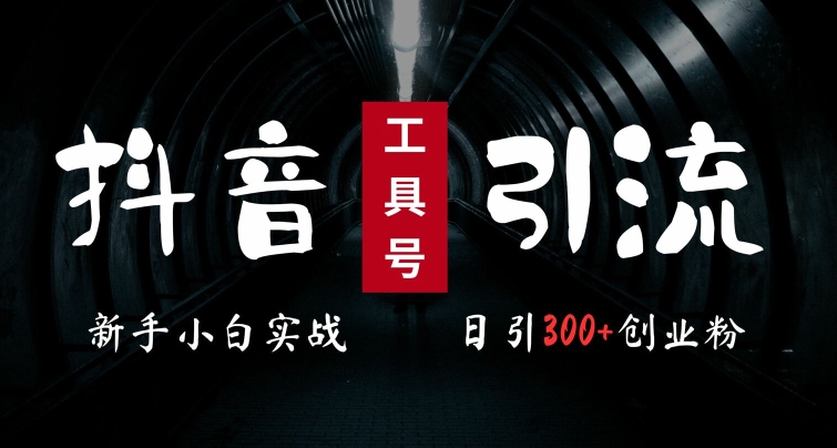 2024最新抖音工具号引流玩法，高效日引300+创业粉，当天变现5k，小白也可成为实战高手-梦清网创