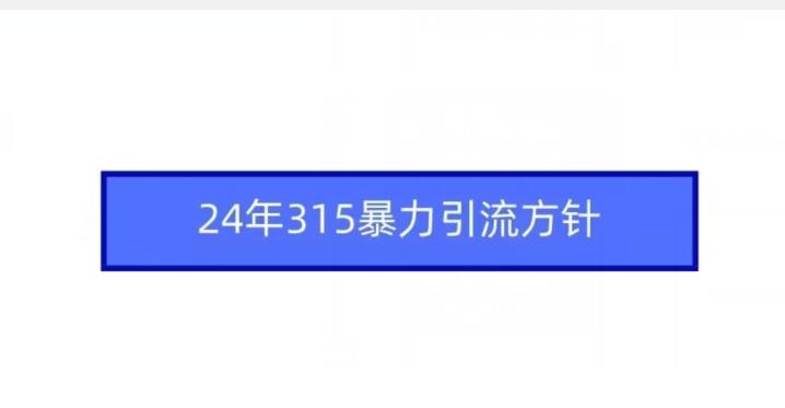 24年315暴力引流方针-梦清网创