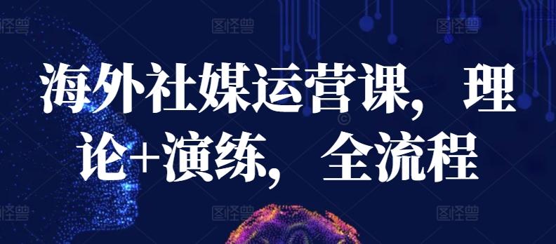 海外社媒运营课，理论+演练，全流程-梦清网创