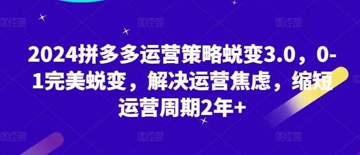 2024拼多多运营策略蜕变3.0，0-1完美蜕变，解决运营焦虑，缩短运营周期2年+-梦清网创