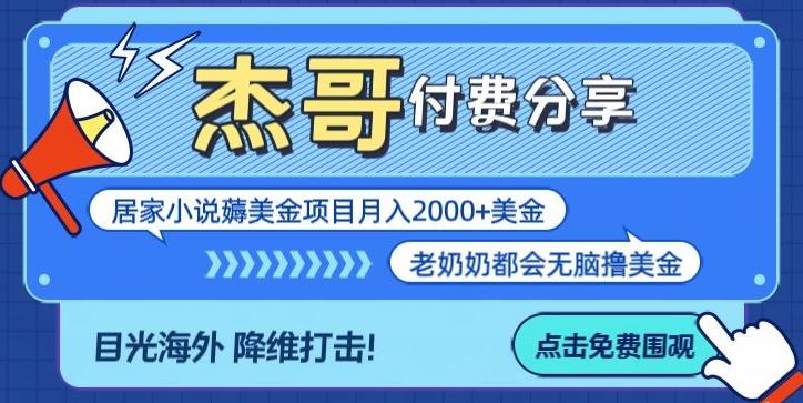 拆解海外撸美金项目月入2000美刀详细指导-梦清网创