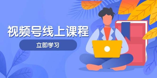 视频号实战课程，轻IP打造与运营技巧，掌握核心方法与策略-梦清网创