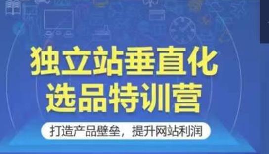 独立站垂直化选品特训营，打造产品壁垒，提升网站利润-梦清网创