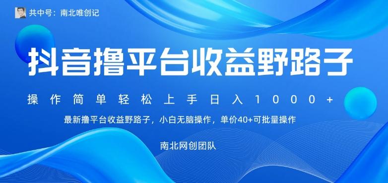 最新撸抖音平台收益野路子，操作简单，单价高，小白可无脑操作可日入1000+-梦清网创