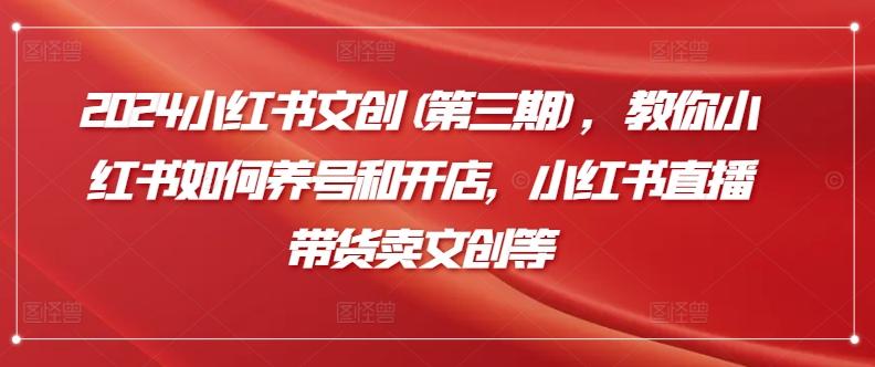 2024小红书文创(第三期)，教你小红书如何养号和开店，小红书直播带货卖文创等-梦清网创