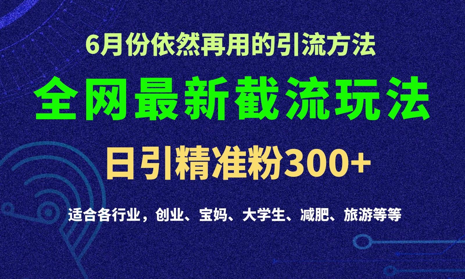 2024全网最新截留玩法，每日引流突破300+-梦清网创