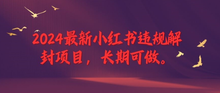 2024最新小红书违规解封项目，长期可做，一个可以做到退休的项目【揭秘】-梦清网创