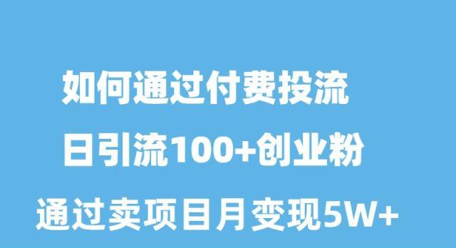 如何通过付费投流日引流100+创业粉月变现5W+-梦清网创