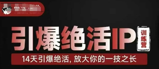 引爆绝活IP训练营，14天引爆绝活，放大你的一技之长-梦清网创