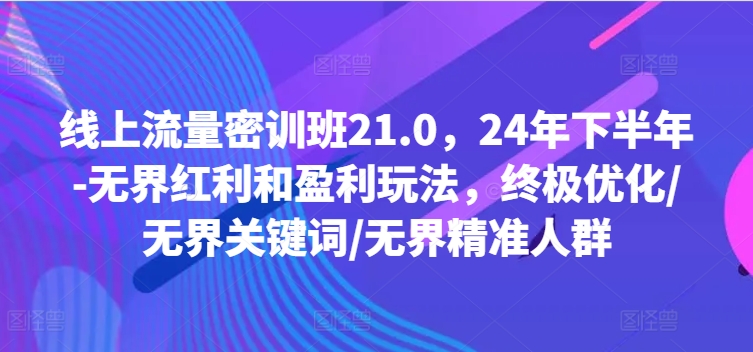 线上流量密训班21.0，24年下半年-无界红利和盈利玩法，终极优化/无界关键词/无界精准人群-梦清网创
