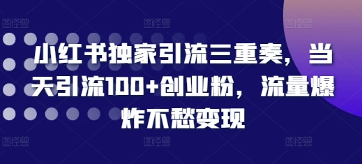 小红书独家引流三重奏，当天引流100+创业粉，流量爆炸不愁变现【揭秘】-梦清网创