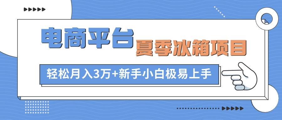 电商平台夏季冰箱项目，轻松月入3万+，新手小白极易上手-梦清网创