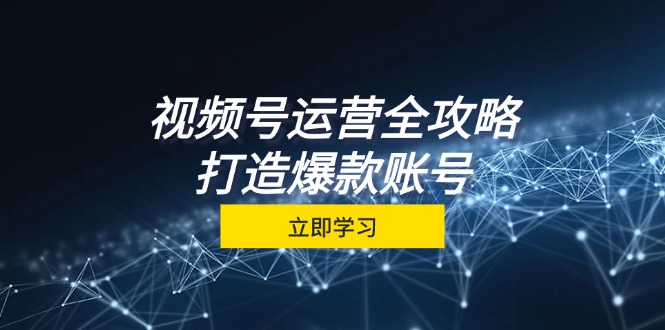 视频号运营全攻略，从定位到成交一站式学习，视频号核心秘诀，打造爆款…-梦清网创