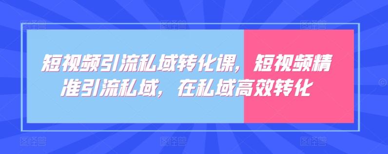 短视频引流私域转化课，短视频精准引流私域，在私域高效转化-梦清网创
