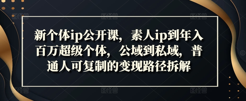 新个体ip公开课，素人ip到年入百万超级个体，公域到私域，普通人可复制的变现路径拆解-梦清网创