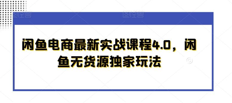 闲鱼电商最新实战课程4.0，闲鱼无货源独家玩法-梦清网创