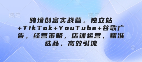 跨境创富实战营，独立站+TikTok+YouTube+谷歌广告，经营策略，店铺运营，精准选品，高效引流-梦清网创