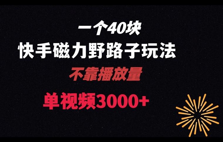 一个40块，快手联合美团磁力新玩法，无视机制野路子玩法，单视频收益4位数【揭秘】-梦清网创