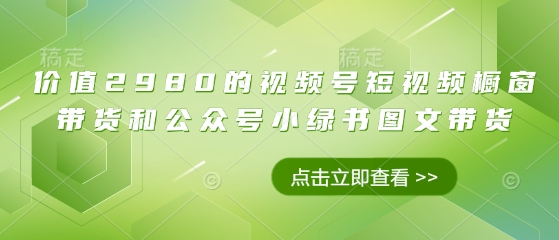 价值2980的视频号短视频橱窗带货和公众号小绿书图文带货-梦清网创