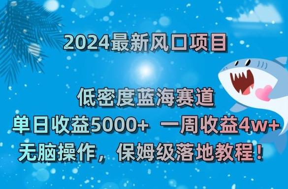 2024最新风口项目，低密度蓝海赛道，单日收益5000+，一周收益4w+！【揭秘】-梦清网创