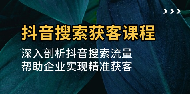 抖音搜索获客课程：深入剖析抖音搜索流量，帮助企业实现精准获客-梦清网创