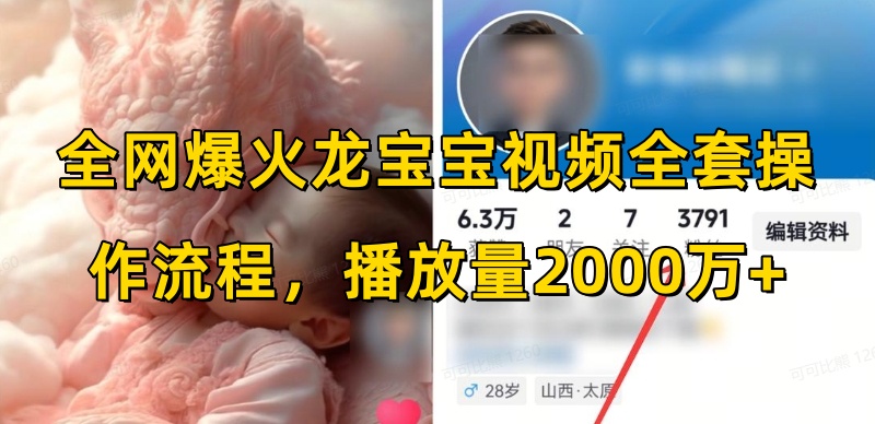 全网爆火龙宝宝视频全套操作流程，播放量2000万+-梦清网创